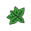 Peppermint